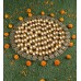 56 Bhog Thaal
